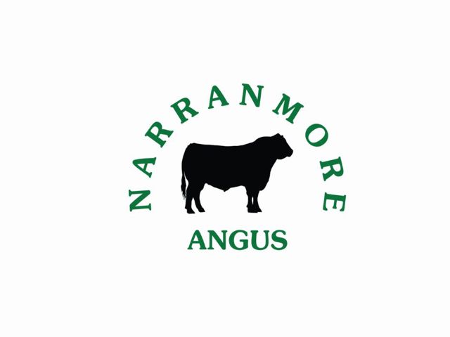Narranmore Annual Angus Bull Sale